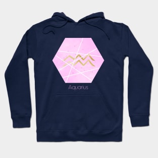 Aquarius zodiac sign Hoodie